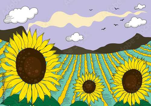 sunflowers