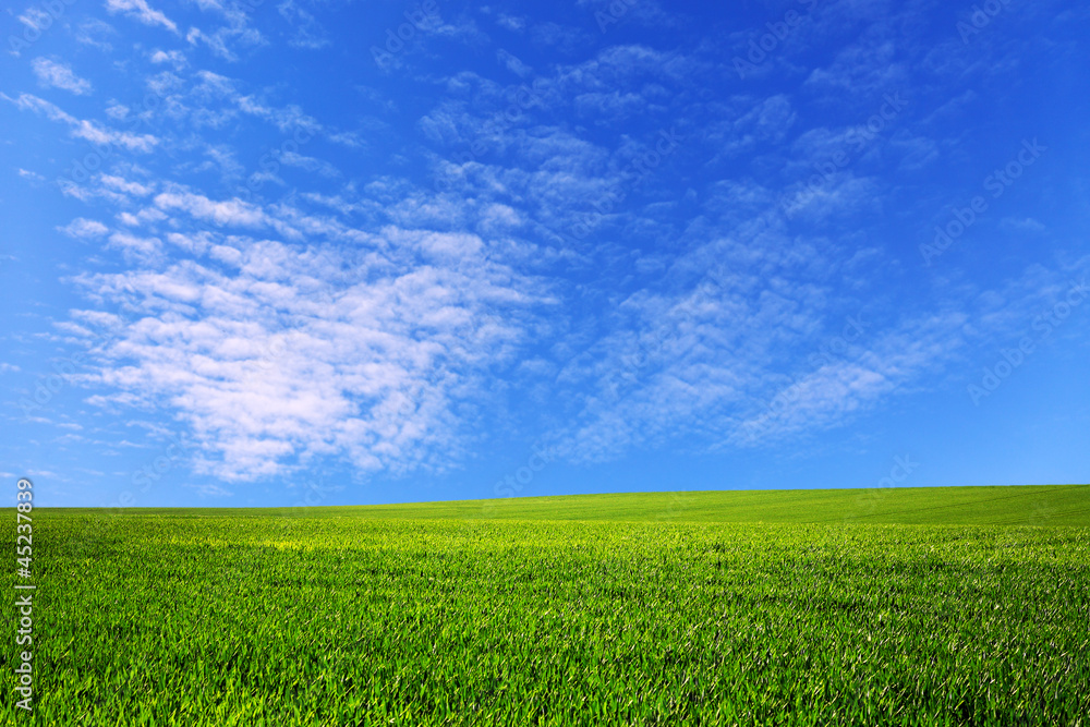 Field and sky Field and sky