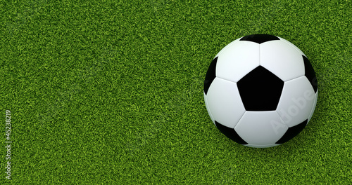 Soccer ball  Football  on green grass