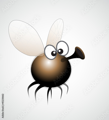 fliege