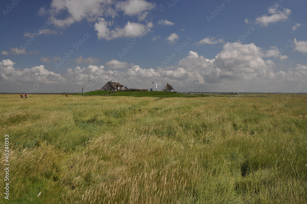 Hamburger Hallig