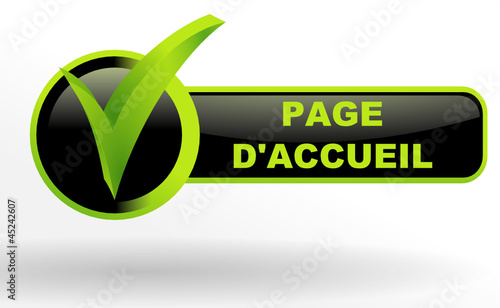 page d'accueil sur bouton validé vert et noir