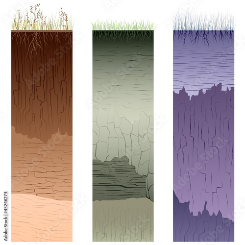 Cut of soil columns (profile).