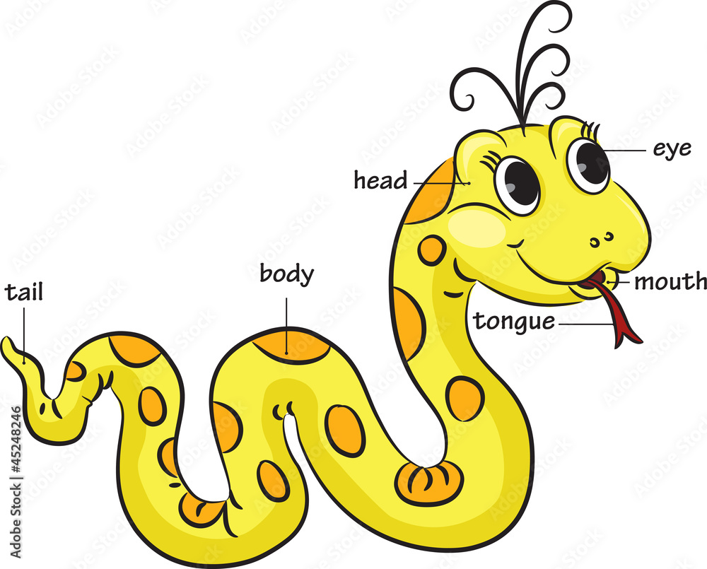 Funny cartoon snake. Vocabulary of body parts. Stock Vector | Adobe Stock