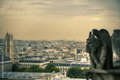 Famous Notre Dame Gargoyle