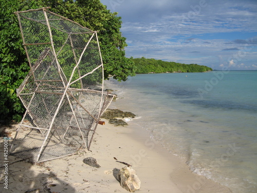 Anse des mancenilliers 2 photo