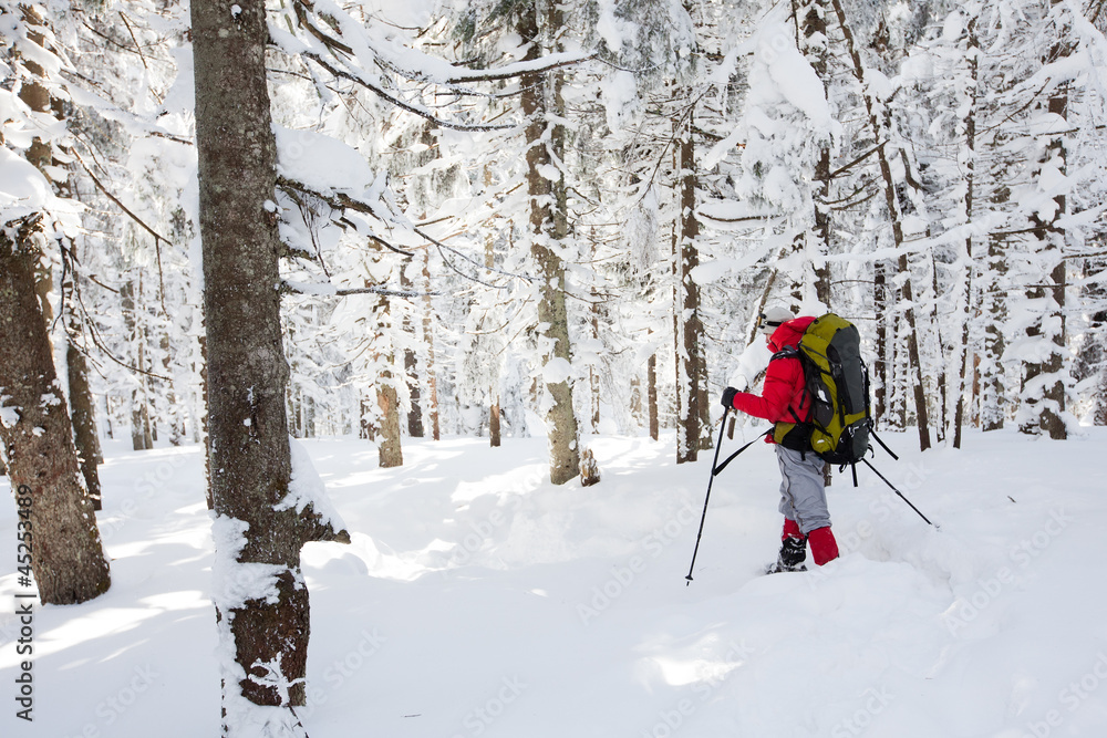 Hiker in winter mountains