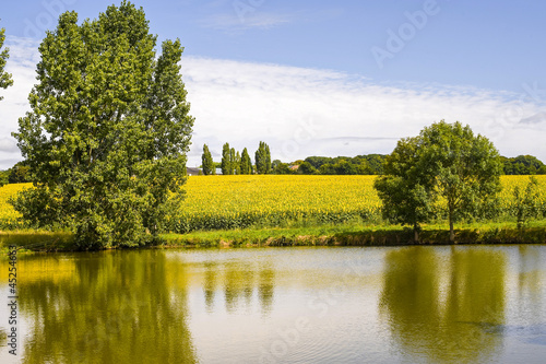 Fototapeta Naklejka Na Ścianę i Meble -  Countryside near Le Mans