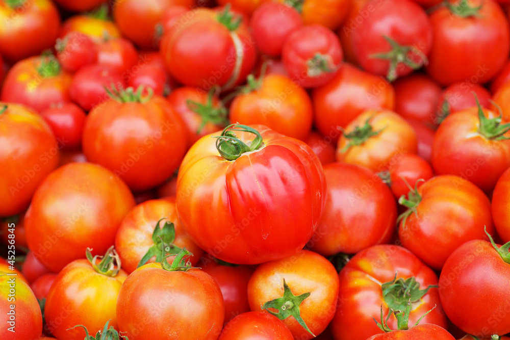 Red Juicy Tomatoes Single focus