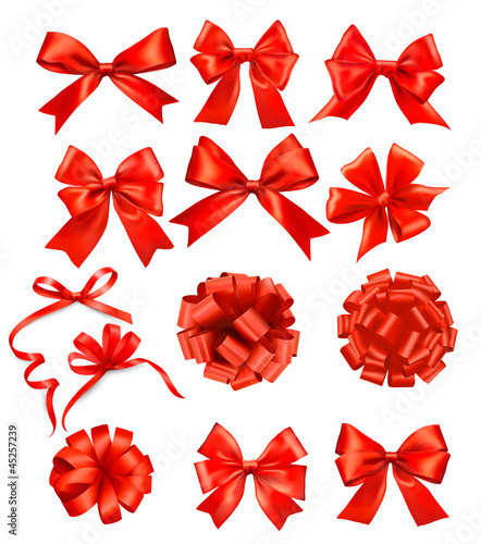 Big set of red gift bows with ribbons Vector