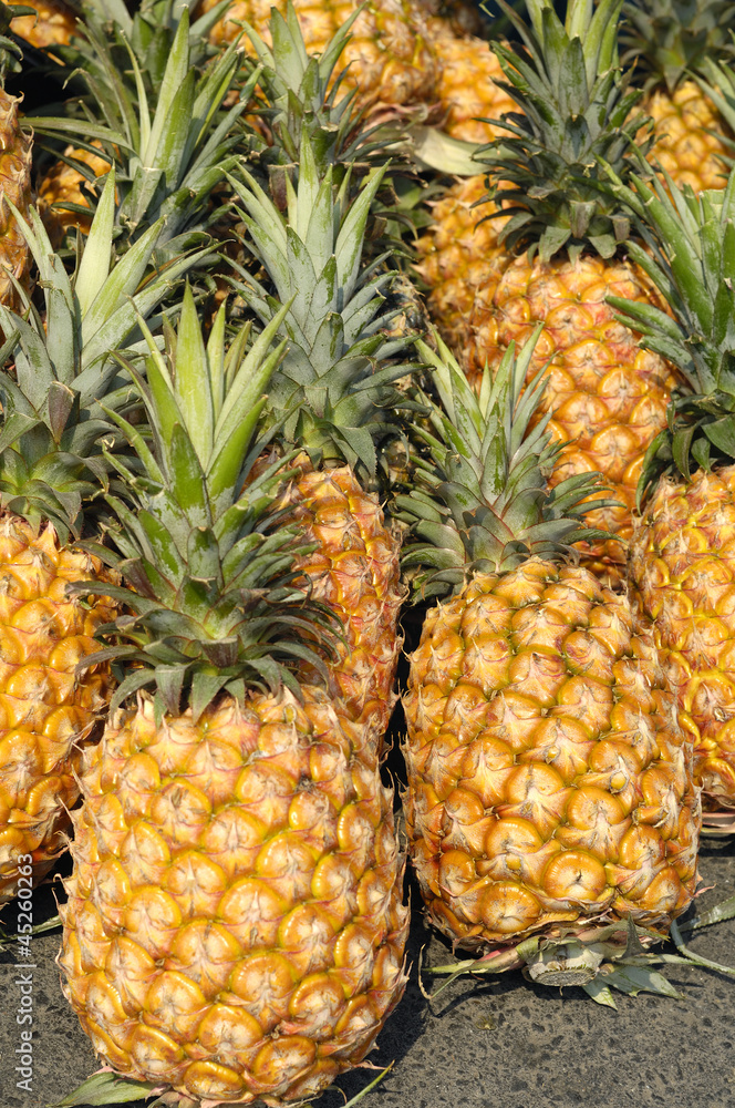 fresh pineapples at an outdoor market fresh pineapples at an outdoor market