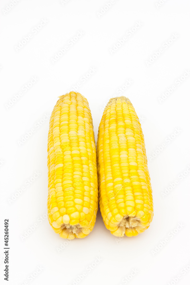 Two corn on white paper Stock Photo | Adobe Stock