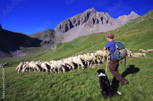 vie d'alpage - berger et son troupeau de moutons photo