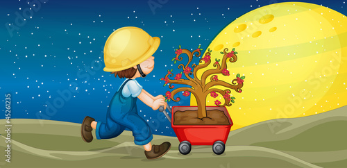 a boy and trolley with plant