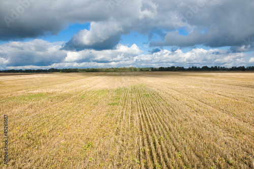 Stubble field
