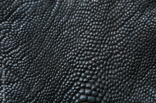 Crocodile skin