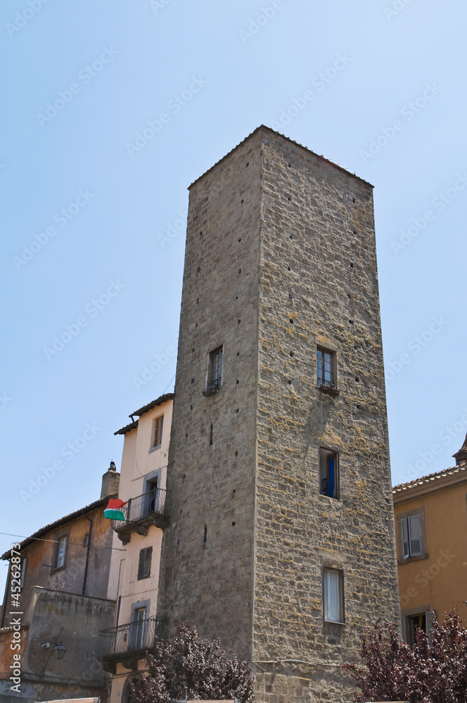 Borgognone tower. Viterbo. Lazio. Italy.