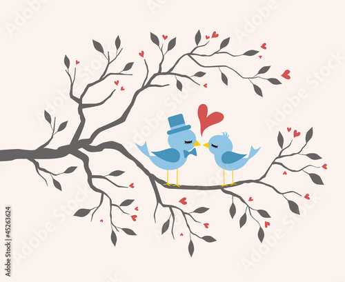 Kissing Birds in love at branch