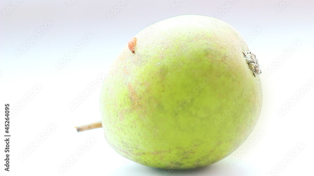 A caterpillar crossing the pear A caterpillar crossing the pear