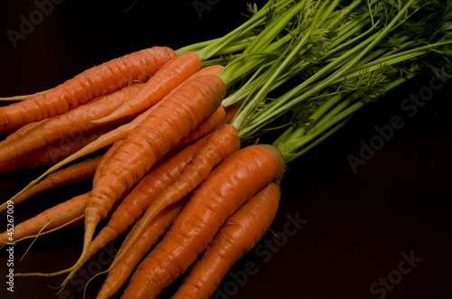 Fresh garden carrots