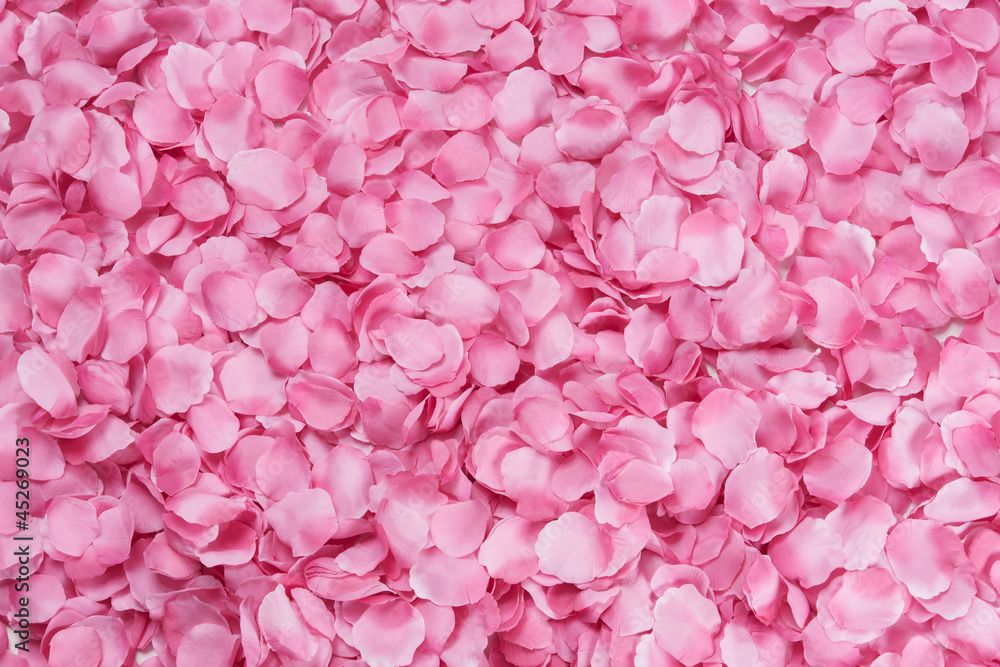 Petali di rosa Stock Photo