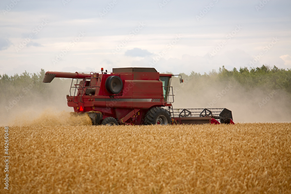 Fototapeta premium Harvester