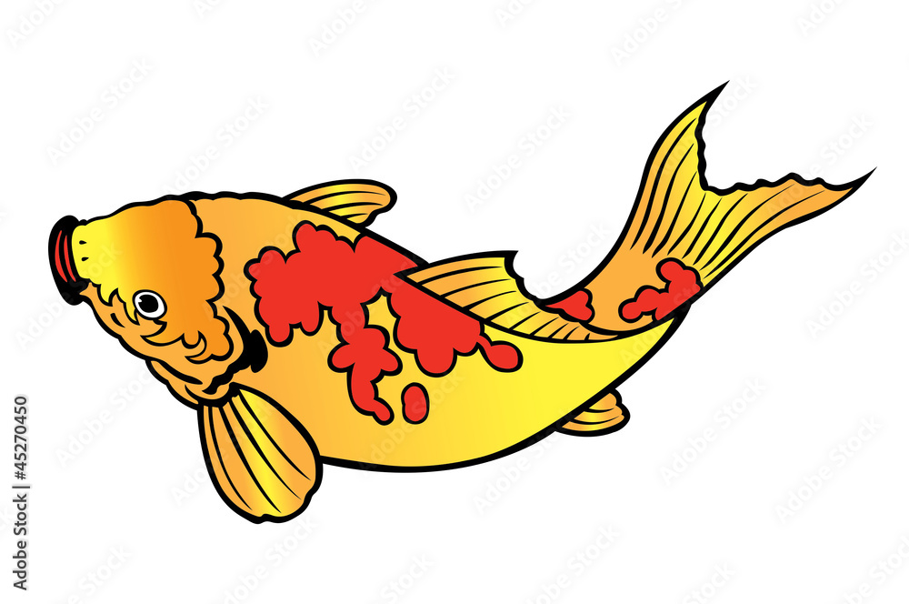 carp fish carp fish