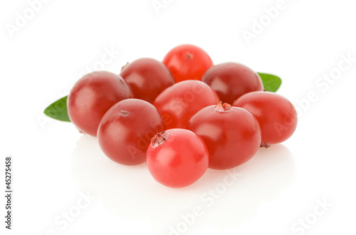 ripe cranberry isolated on white
