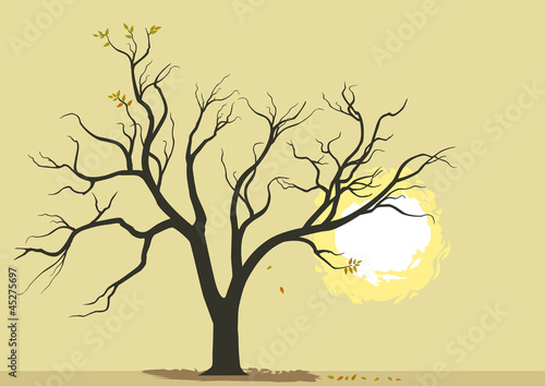 Abstract Tree and Burning Sun Background © NEILRAS