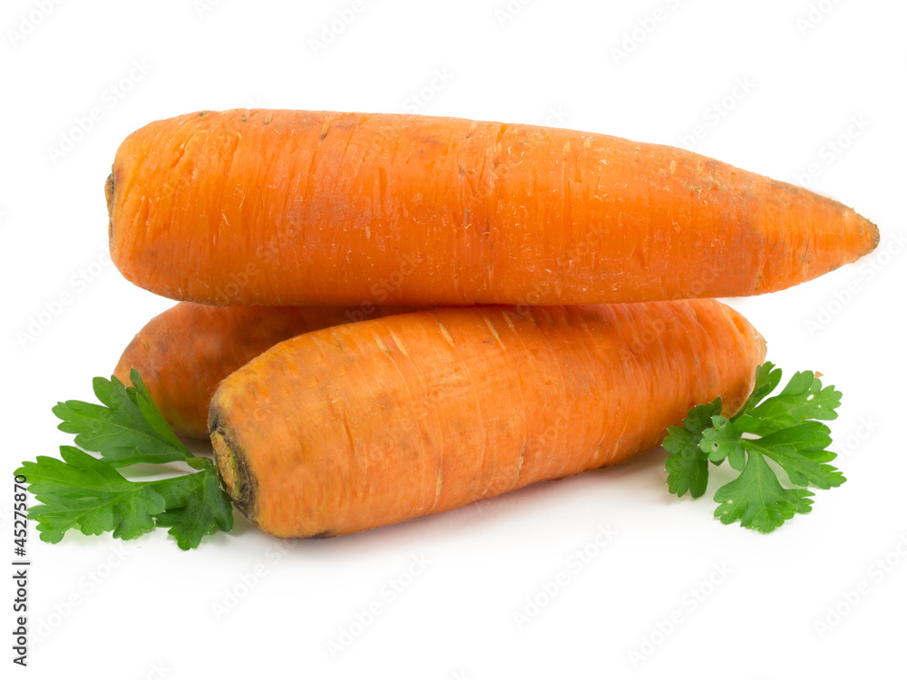 carrot carrot