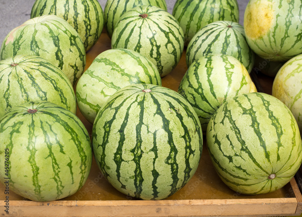 Big watermelon market display in a row Big watermelon market display in a row