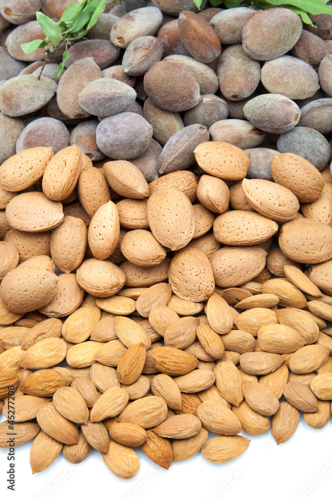 Obraz premium almendras