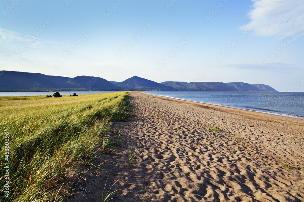 Fototapeta premium sandstrand