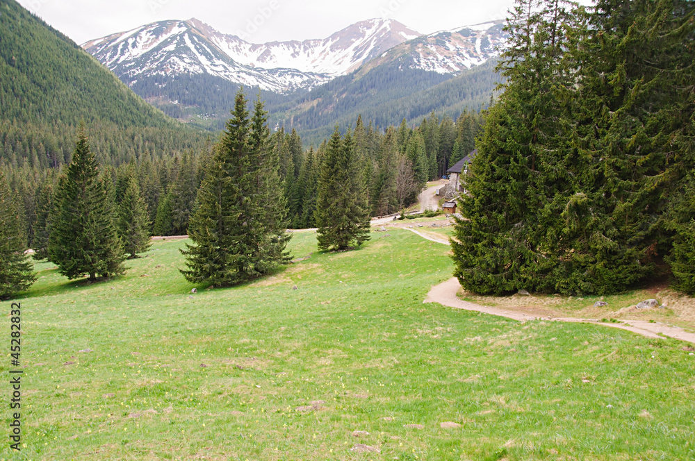 Zakopane Dolina Chochołowska