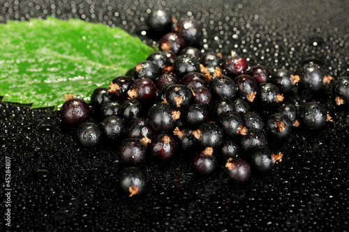 Fresh black currant on black background close-up