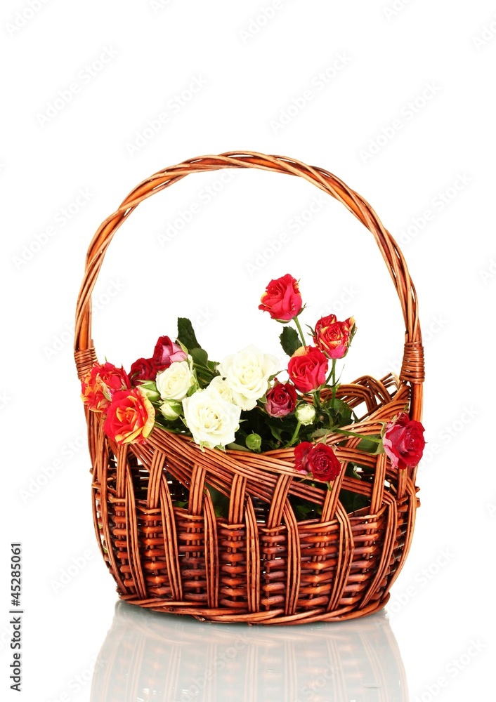 Bouquet of beautiful roses in a wicker basket isolated on white Bouquet of beautiful roses in a wicker basket isolated on white