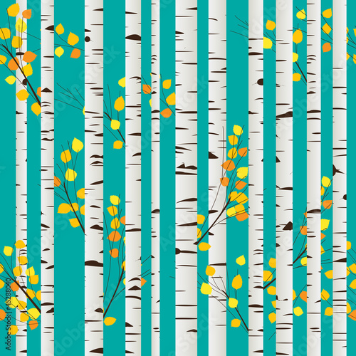 Birch forest pattern