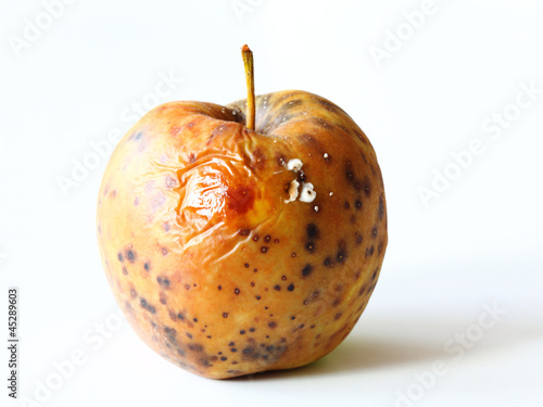 Quadro em tela apple spoiled on white background