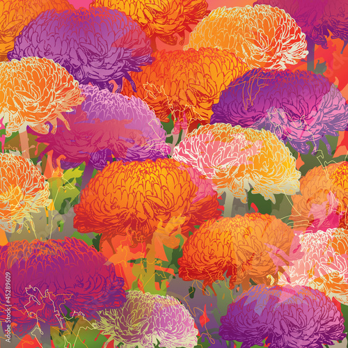 Chrysanthemums. Autumn colorful background. Vector illustration.