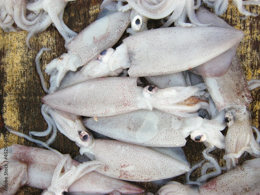 process of making dry fish in salt water and expose to sun for a process of making dry fish in salt water and expose to sun for a