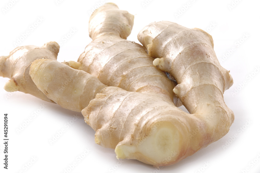 Ginger on white Ginger on white