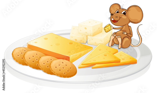 biscuits, cheese and mouse