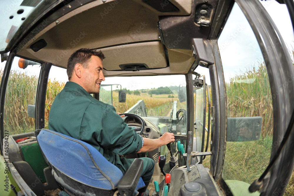Naklejka premium Farmer driving tractor in corn field