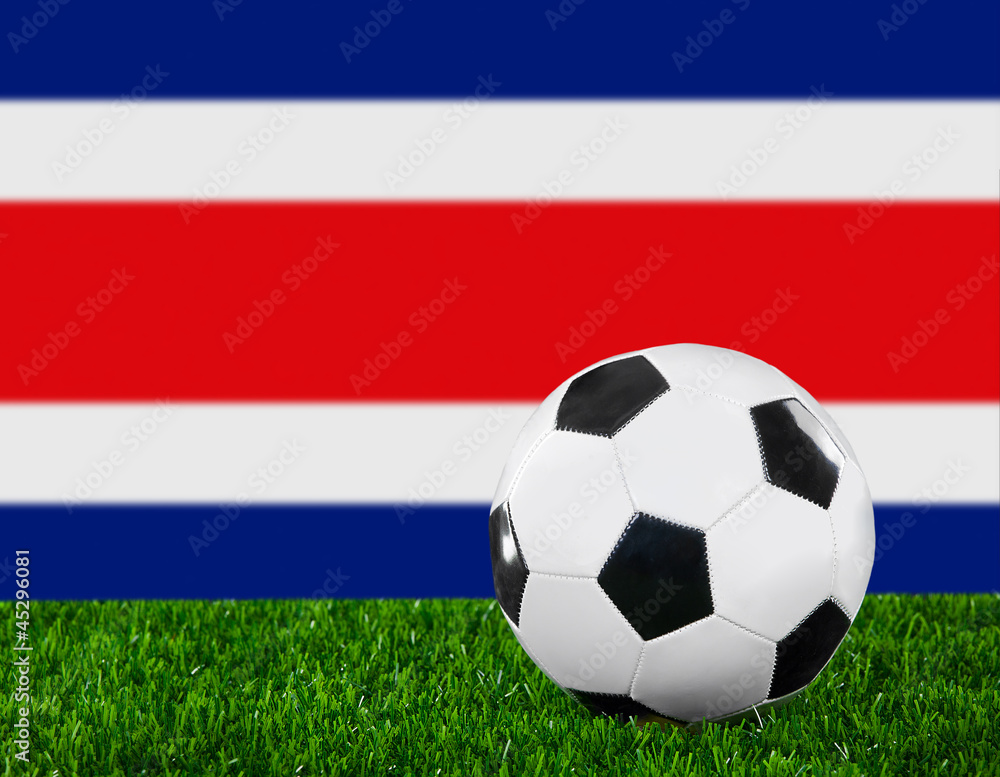 Fototapeta premium The Costa Rica flag