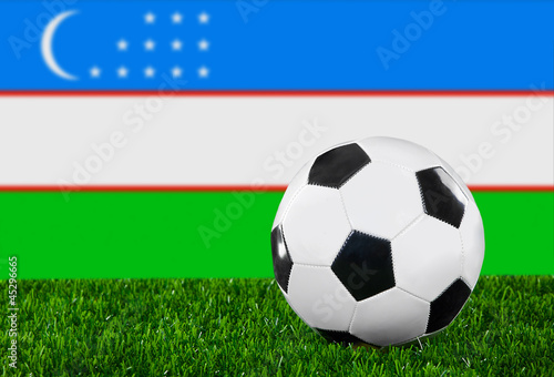 The Uzbek flag