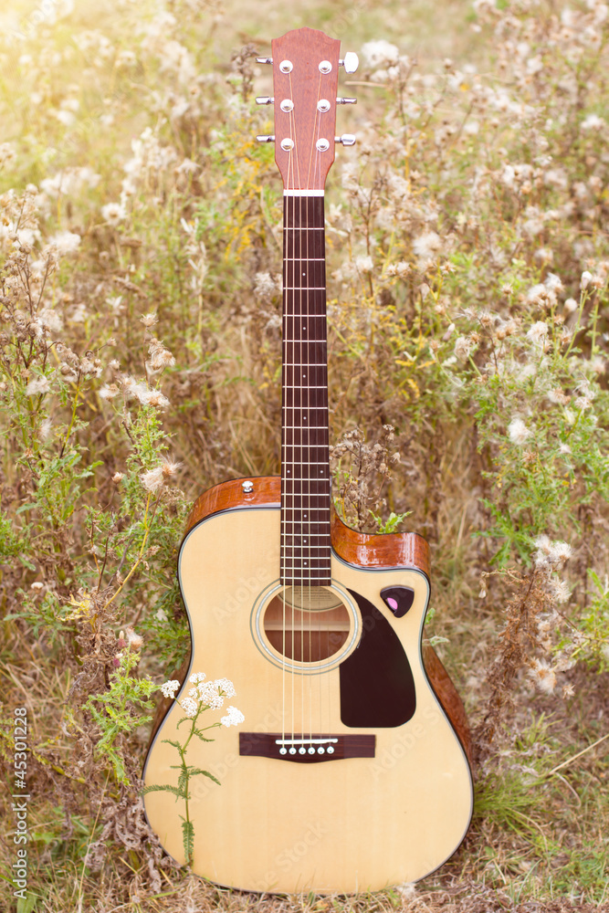 Wooden acoustic guitar on a field