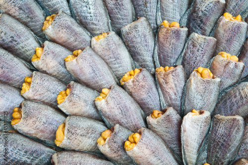 dry gourami fish and spaen photo