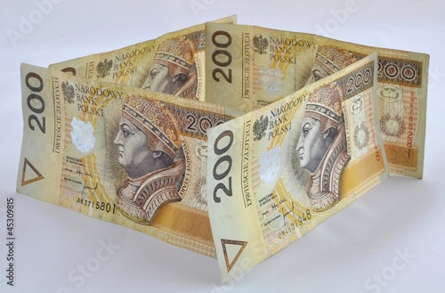 Obraz na płótnie polish money