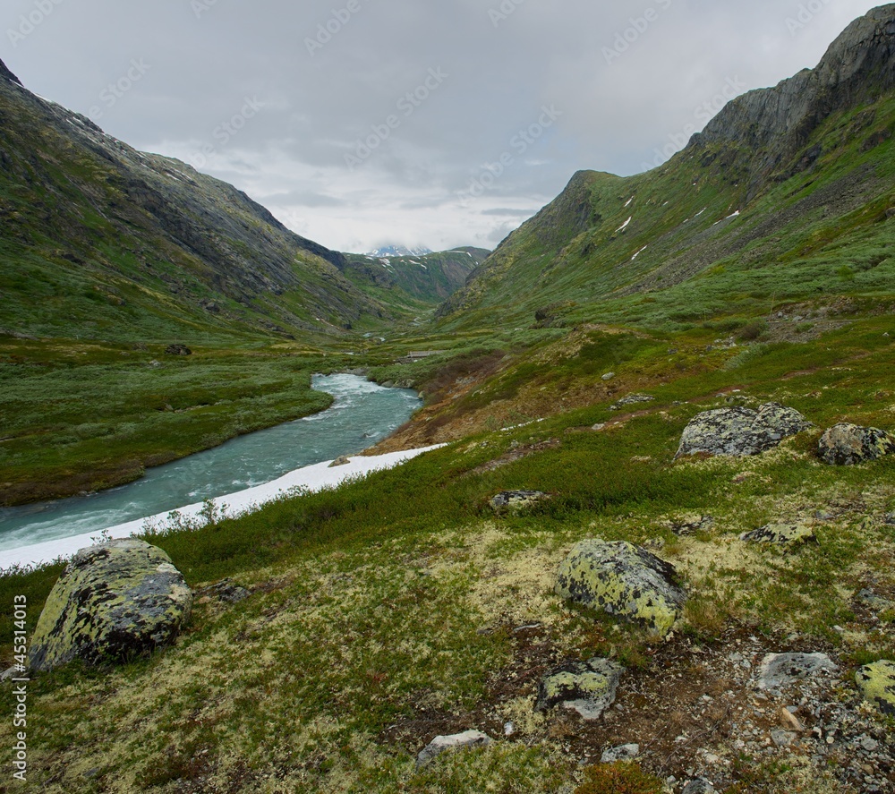 River in scandinavian landscape River in scandinavian landscape