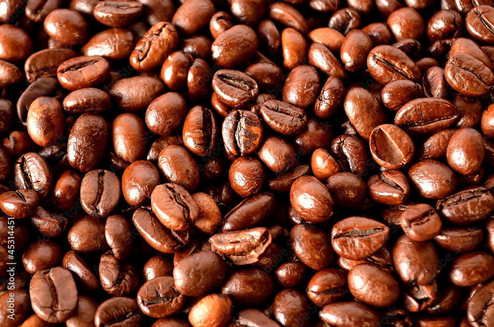 Coffee bean Coffee bean